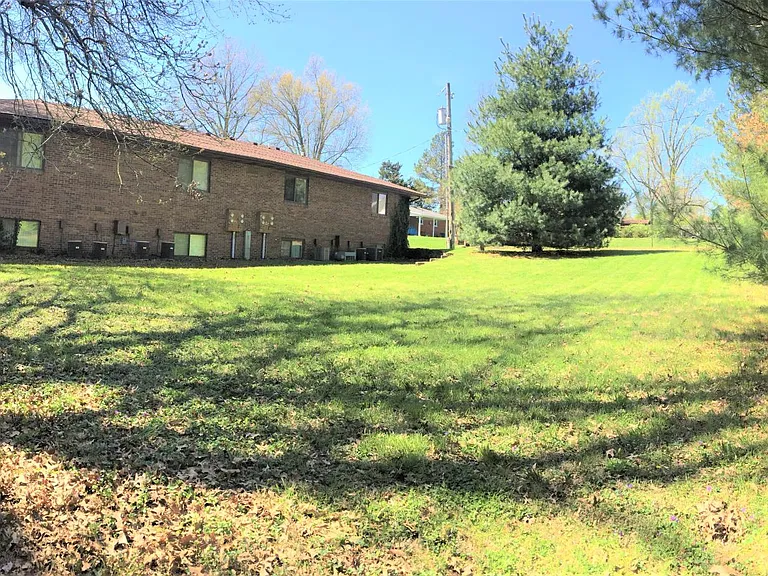 Back yard