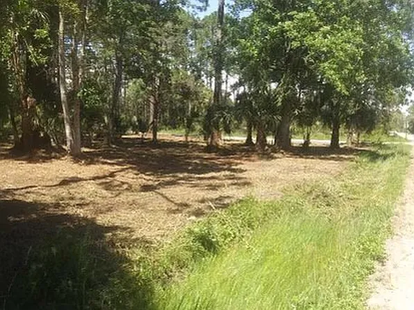 Mississippi Ave, Panacea, FL 32346