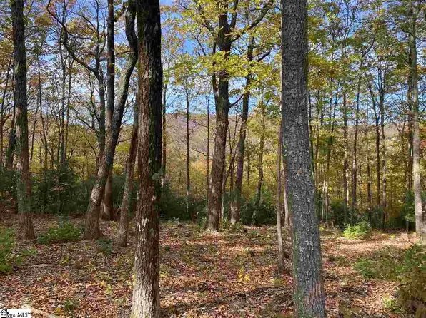 1526 Panther Park Trl, Travelers Rest, SC 29690