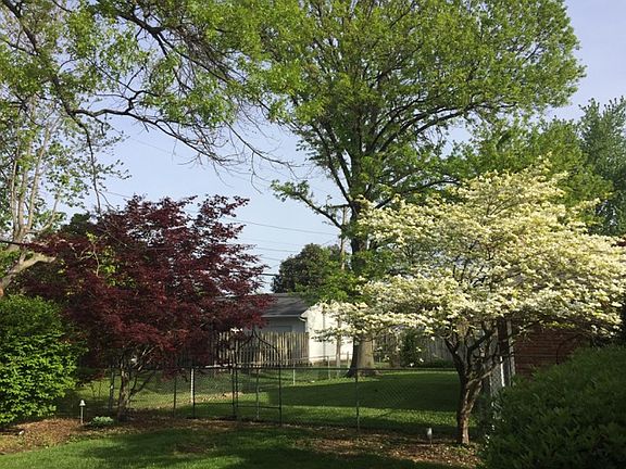 4th image of 2716 Wesleyan Park Dr