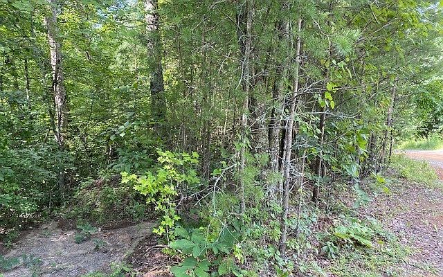 2nd image of 19 Whipporwill Walk Rd