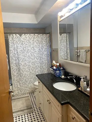 6810 N Northwest Hwy #2C — Photo 4