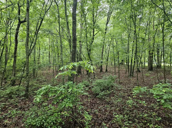 2411 State Route 56 Road 2, Tracy City, TN 37387