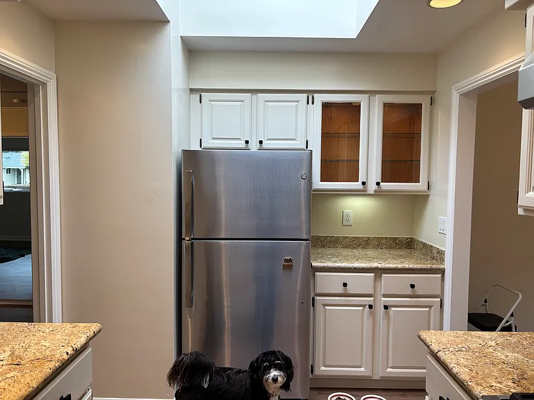 Refridgerator and additional cabinetry (dog not included)