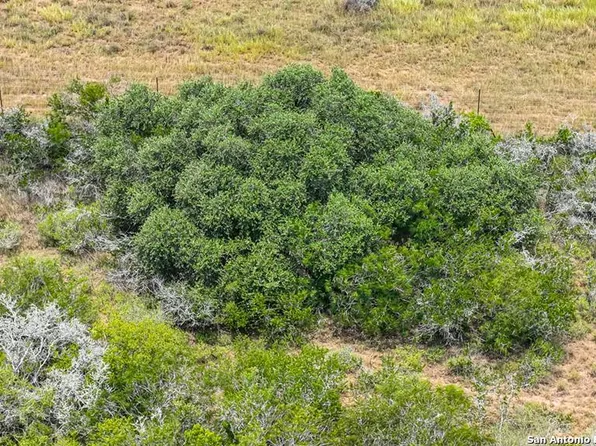 00 Chuckar Drive, Mineral 78125