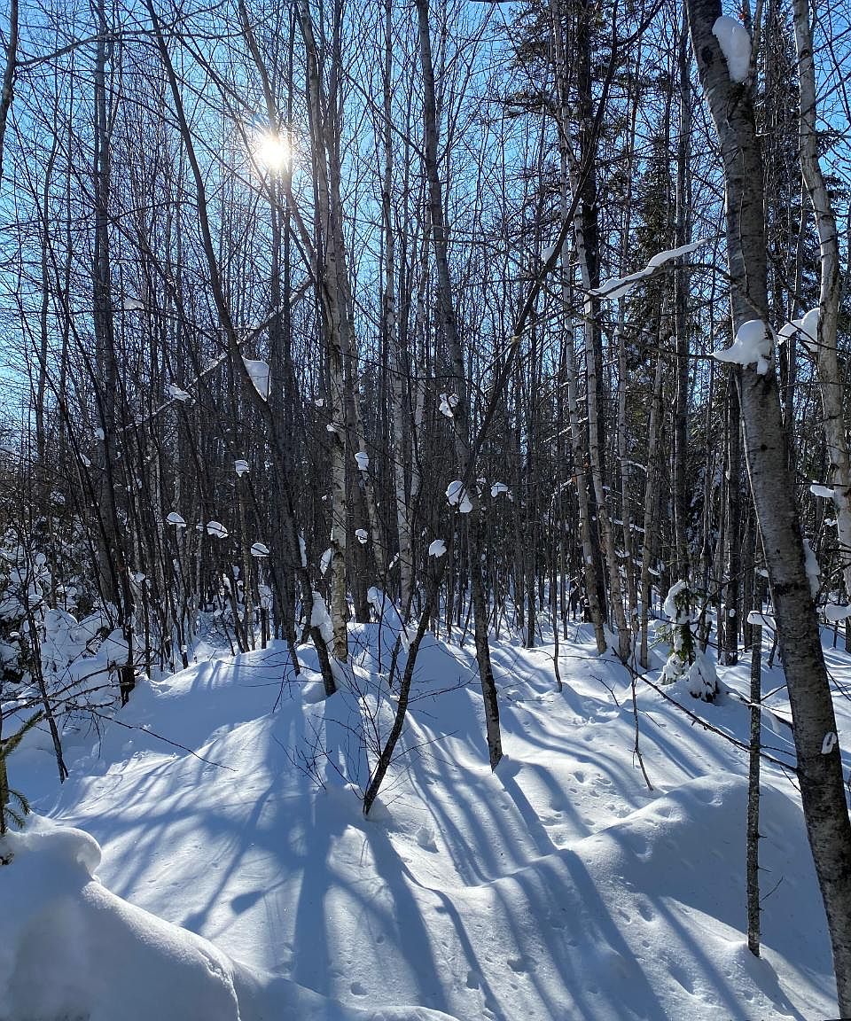 Near Springstead Rd, Park Falls, WI 54552 MLS 205593 Zillow