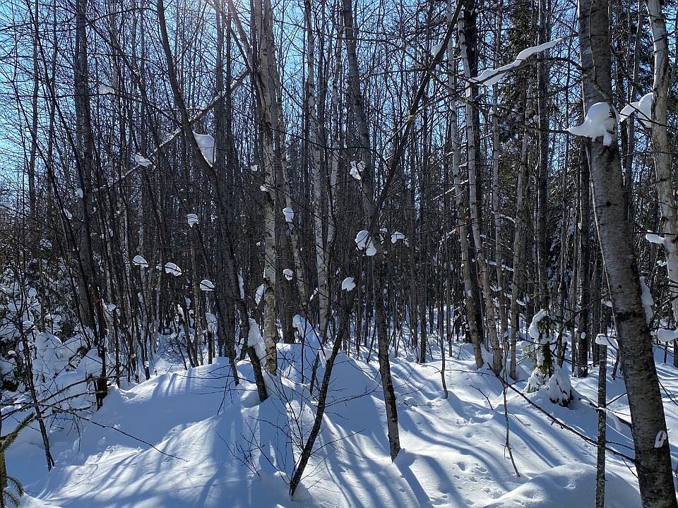 Near Springstead Rd, Park Falls, WI 54552 MLS 205593 Zillow