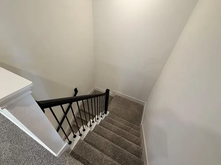 3539 Adelie Ln — Photo 10