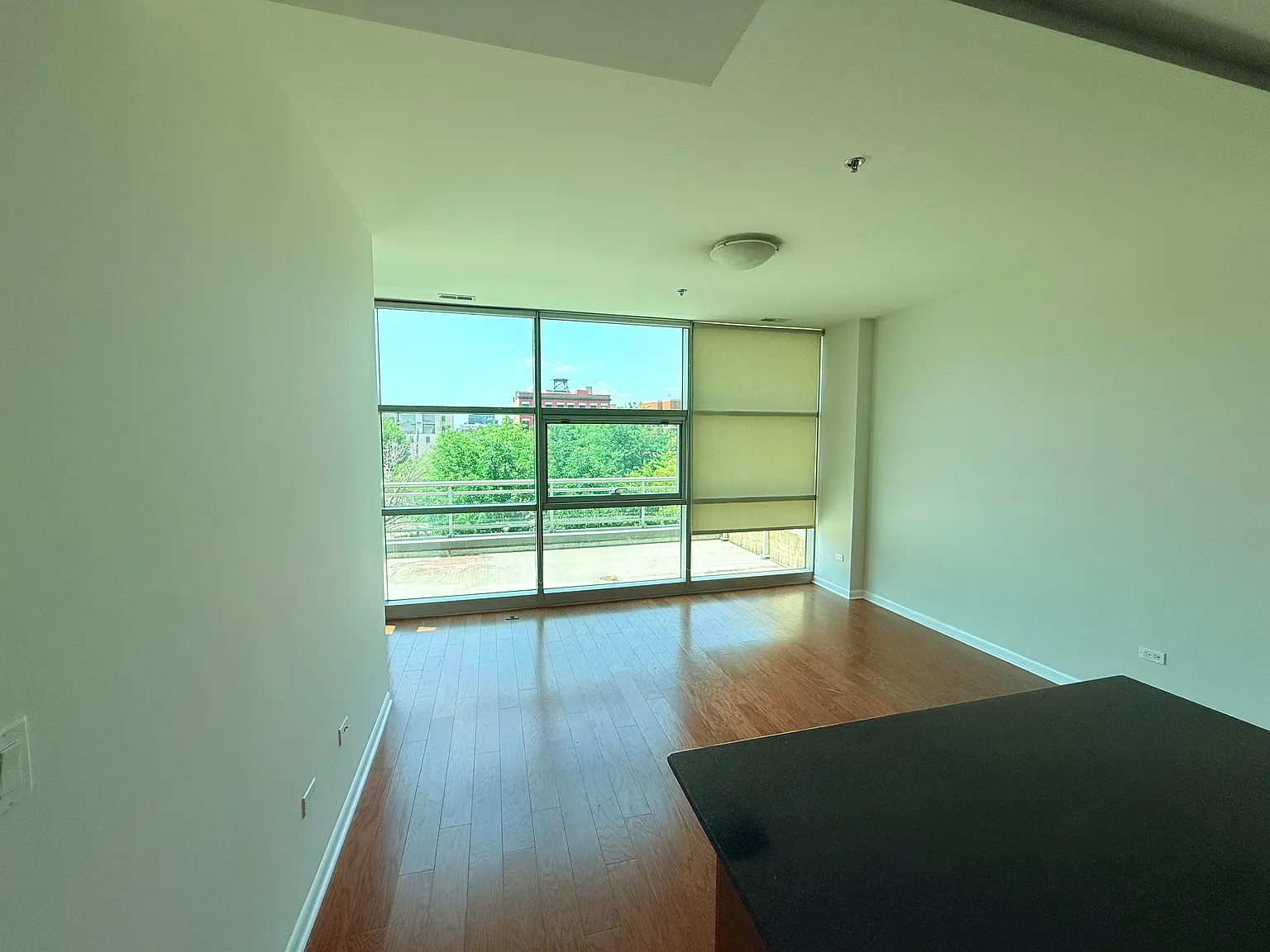 2 bed, 1100 sqft, $3,300 — Photo 4