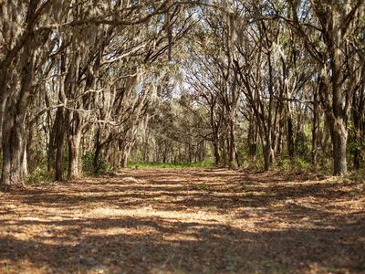 8000 Pine Island Rd #15-18, Clermont, FL, 34711