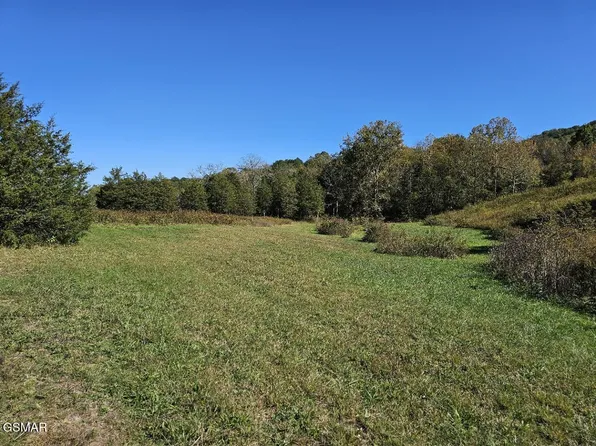35 Shoreline Vis, Sharps Chapel, TN 37866