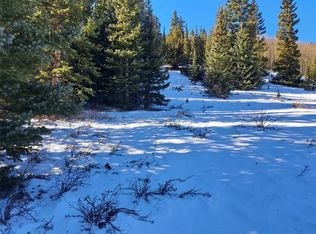 3553 River Dr, Alma, CO 80420