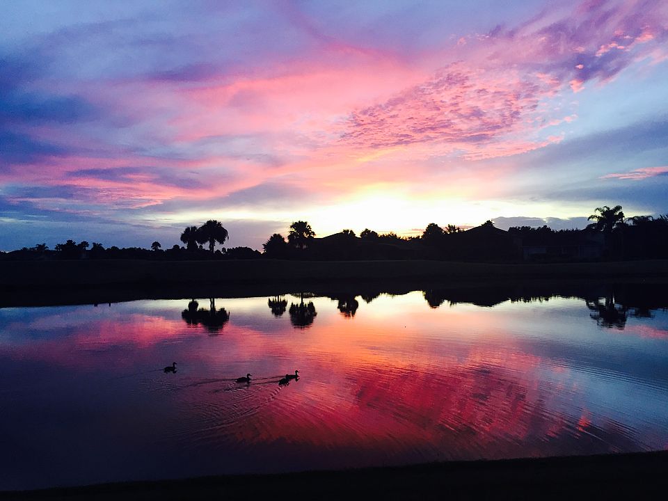 Sunset View