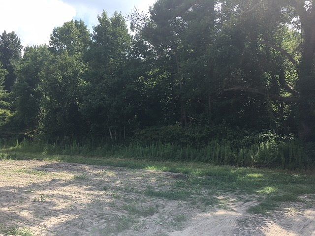 2nd image of 204B Joyner Rd