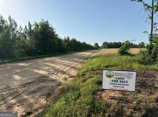 3 Pine Hill Church Rd, Waynesboro, GA 30830