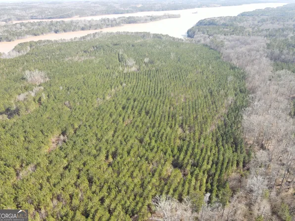 0 Rocky Creek Rd, Hampton, GA 30228