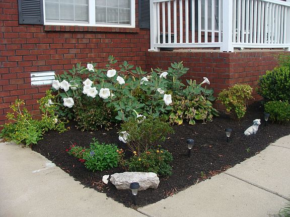 Flower bed