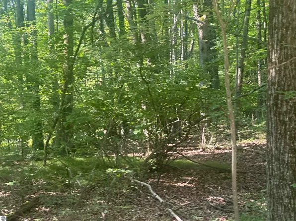 LOT 179 Mockingbird Cir, Farwell, MI 48622