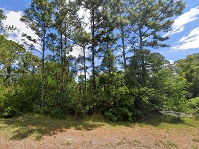 354 Wildcat St NW, Lake Placid, FL, 33852