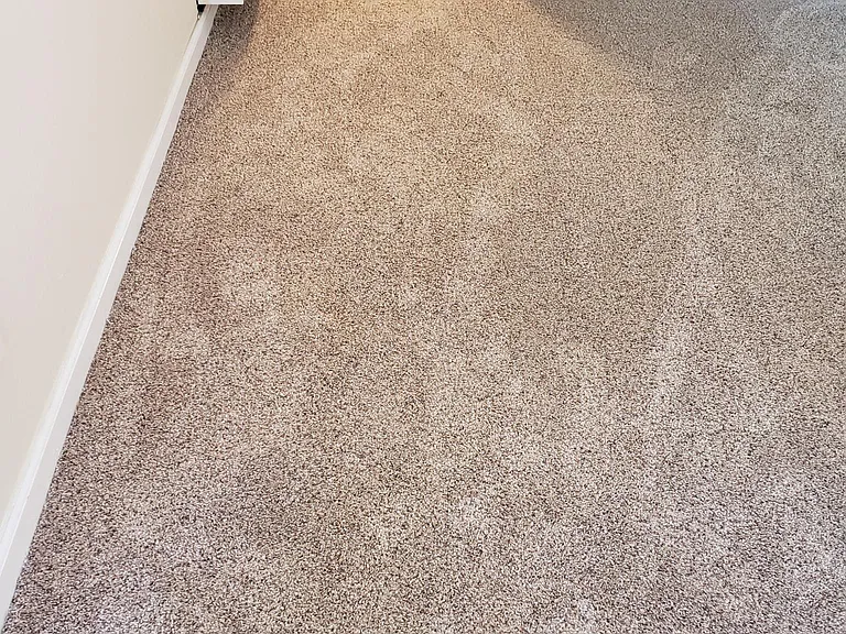 515 Kains Ave #2 — Photo 17