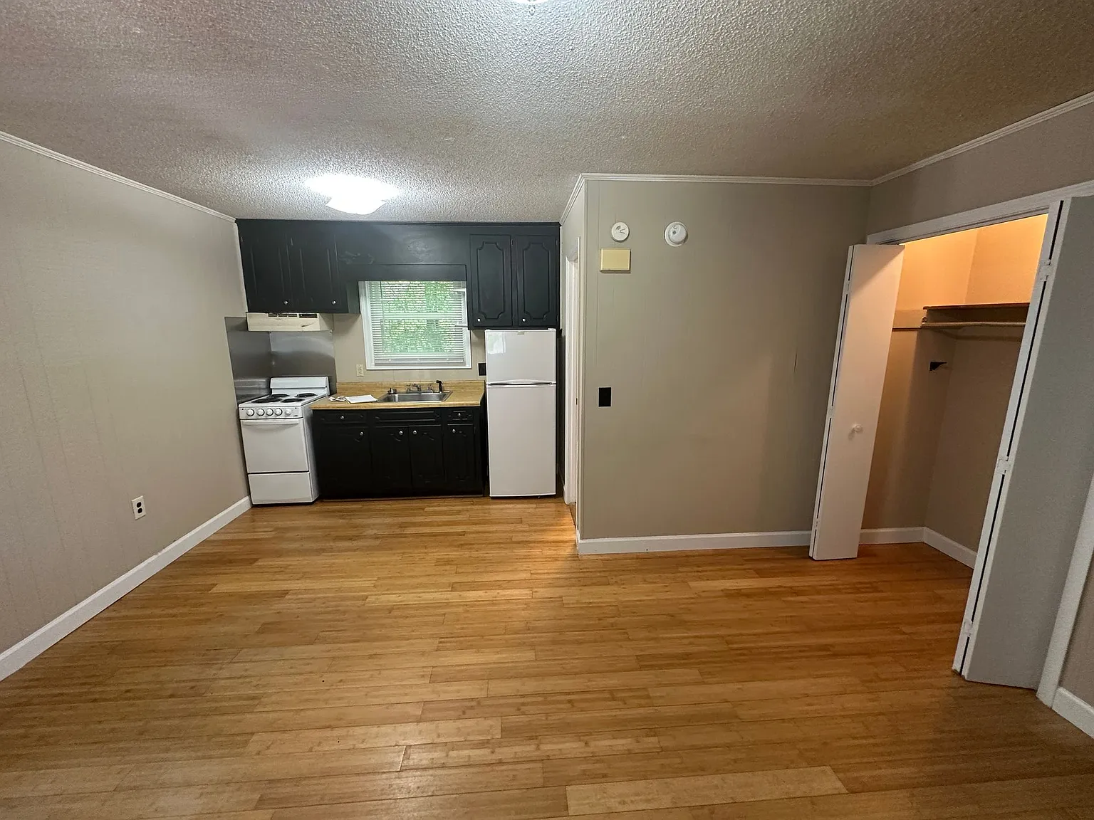 Studio Apartment For Rent Near Clemson University — Photo 3