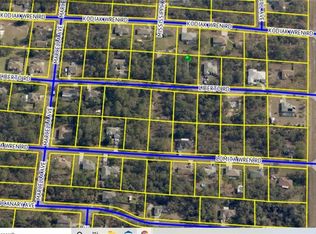 11092 Liberto Rd, Brooksville, FL 34614