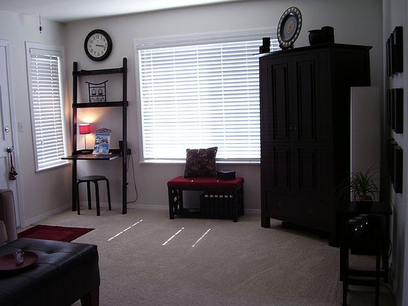 Large westward facing living room window