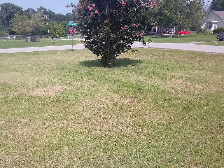 986 May Apple Dr — Photo 28