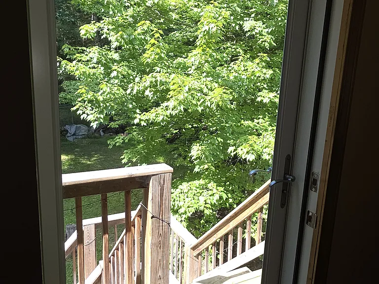 278 Forest Rd — Photo 29