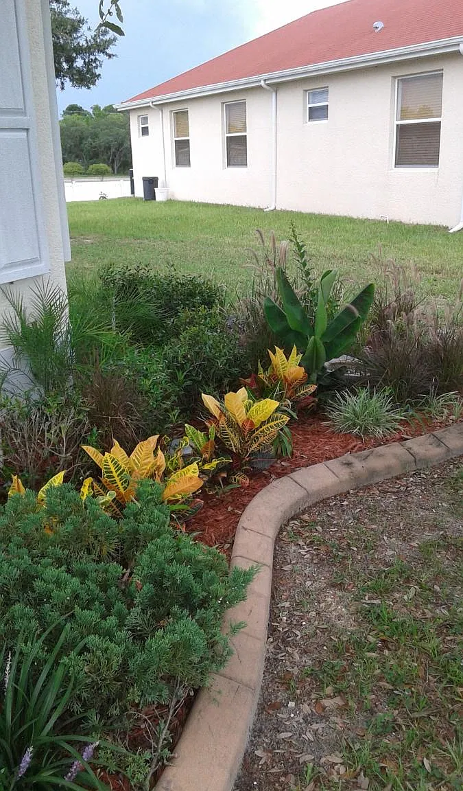 2 bed, 1200 sqft, $1,500 — Photo 4