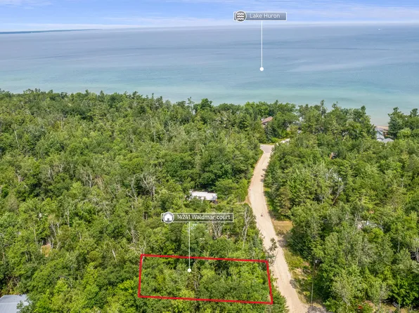 14241 Waldmar Ct, Cheboygan, MI 49721