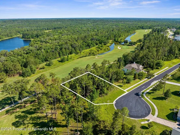 20118 English Walnut Pl, Brooksville, FL 34601