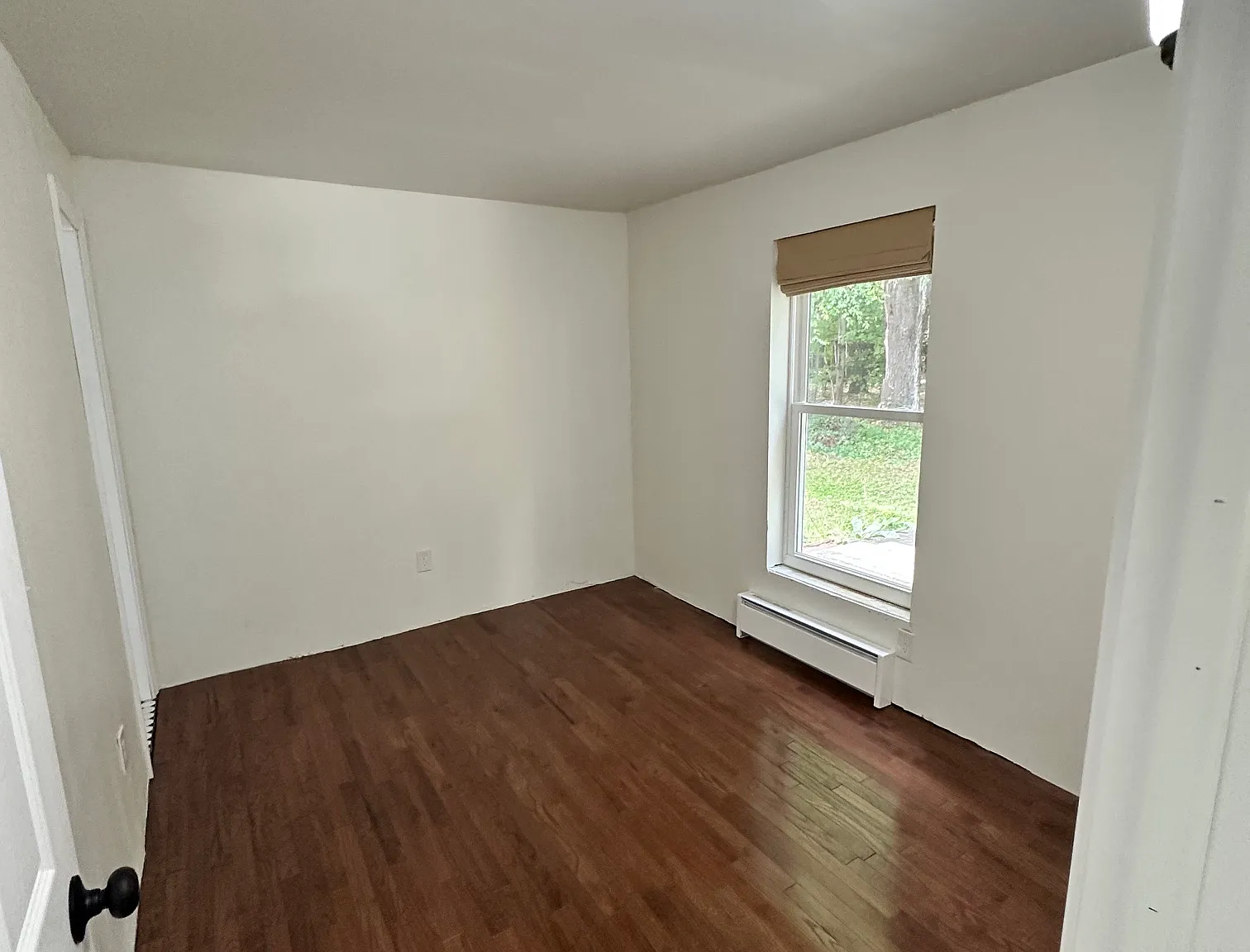 1 bed, 365 sqft, $1,650 — Photo 3