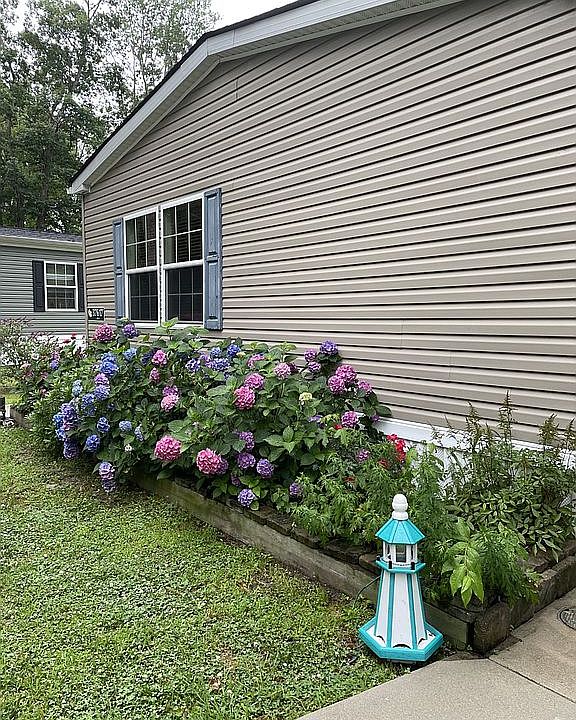 1st image of 37617 Shady Cir