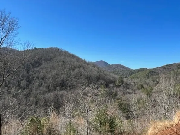 LOT 16 Mountain Trce, Cherry Log, GA 30522