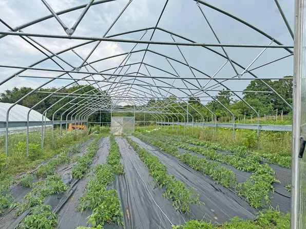 16653 Johnson Br Road, Solo, MO 65564