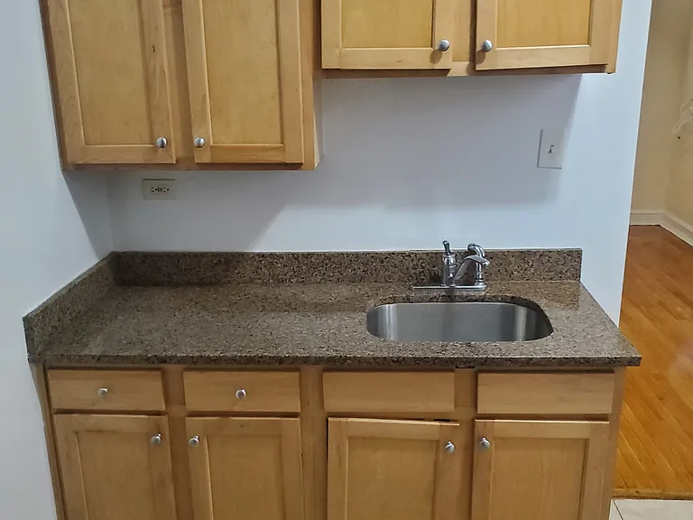 1523 W Lunt Ave #1A — Photo 2