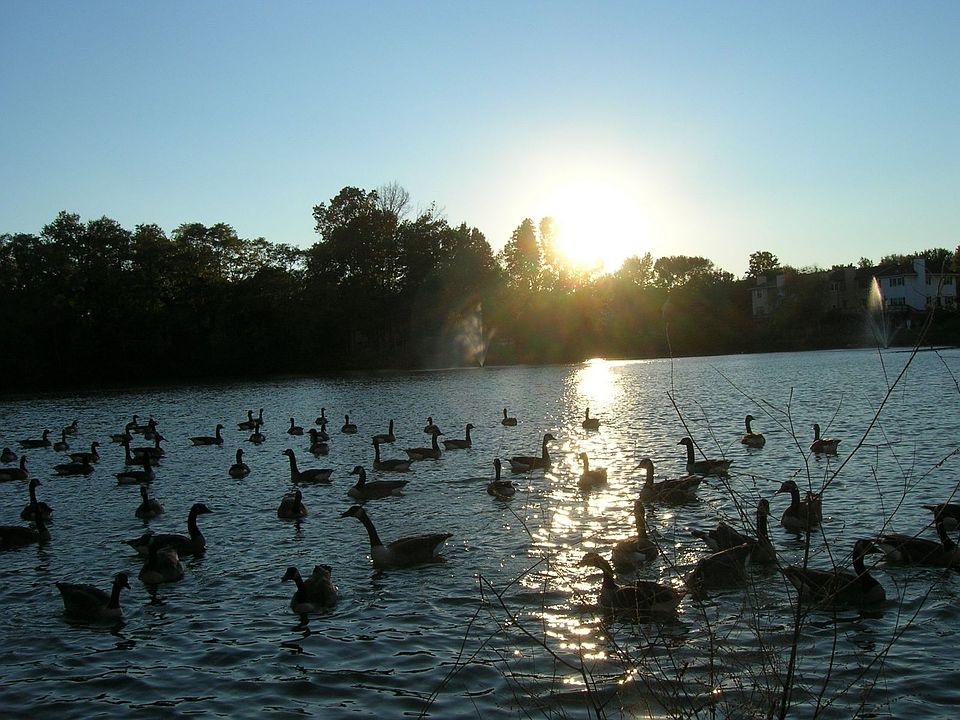 1st image of 7133 Lake Cove Dr
