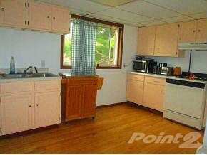 main st apt 1 kitchen