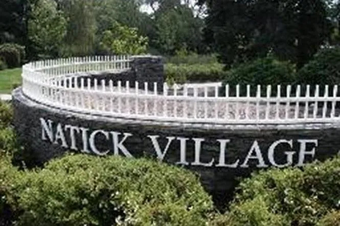 5 Village Hill Ln — Photo 18