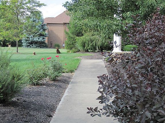 Sidewalk