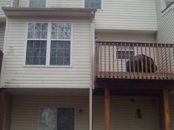 Exterior Rear View