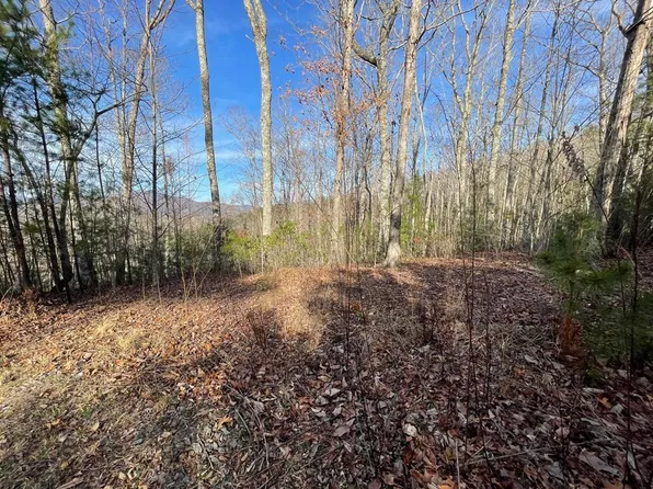 LOT 14 Big Cove Dr, Hiawassee, GA 30546