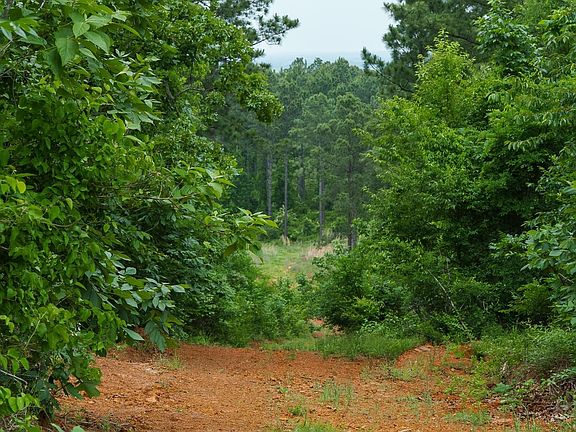4th image of 0 State Highway 64 #1