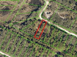 0 Broken Stone St LOT 6, Webster, FL 33597