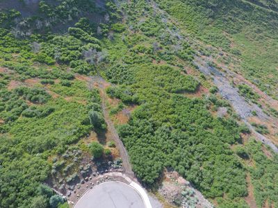 1691 Box Elder, Alpine, UT, 84004