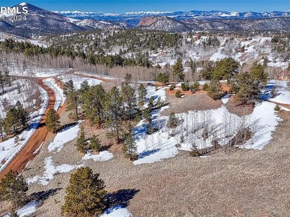 247 Wolftone Dr, Cripple Creek, CO 80813