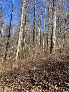 Hampton View Dr, Hampton, TN, 37658