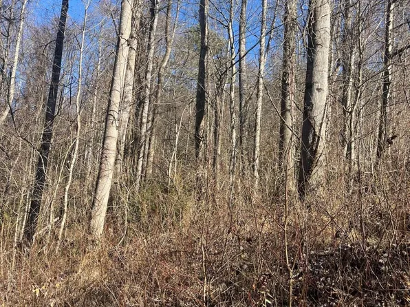 Hampton View Dr, Hampton, TN 37658