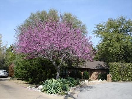 View from cul de sac